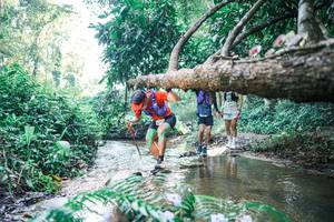 BIB: 
                            <button type="button" onclick="openModal(25439239)" class="btn btn-primary btn-sm float-right btn-popup" data-toggle="modal" data-target=".modal-high-quality">
                        <i class="fas fa-shopping-cart"></i> Add to Cart
                    </button>
                                            <button type="button" onclick="isThisMe(25439239, true)" class="btn btn-success btn-sm float-right btn-popup btn-isme hidden" data-toggle="tooltip" data-placement="bottom" title="นี่คือรูปของคุณใช่ไหม คลิกที่นี่เพื่อเอาเข้าอัลบั้ม">
                        <i class="fas fa-plus"></i> Add to album
                    </button>
                    <button type="button" onclick="isThisMe(25439239, false)" class="btn btn-warning btn-sm float-right btn-popup btn-isnotme hidden">
                        <i class="fas fa-ban"></i> Remove from album
                    </button>